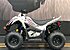 2019 Kymco Mongoose 70 for sale 200770033